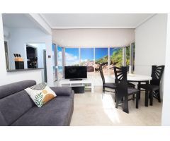 Apartamento bajo a estrenar en Torrevieja . Leer la descripción.