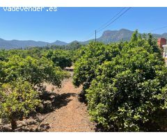 REF 08595.- CHALET MUY GRANDE EN LA CALDERONA - NATURALEZA Y SERVICIOS DEL PUEBLO.