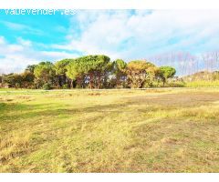 Terreno urbanizable residencial en Riells i Viabrea