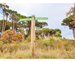 Terreno urbanizable residencial en Riells i Viabrea