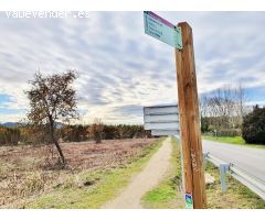 Terreno urbanizable residencial en Riells i Viabrea