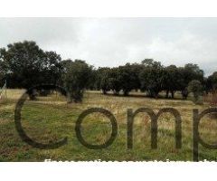 VENTA.-.COTO DE CAZA PEÑA DEL OSO.-.NAVAS DE RIOFRIO.-.