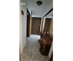 piso 3 habitaciones planta baja
