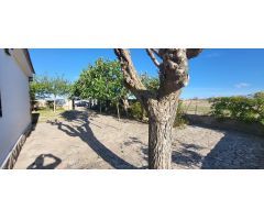 SE VENDE PARCELA CON CASA, 3 DORMT. 1BAÑO, PISCINA, BARBACOA, GARAJE, ARBOLES, CERCA DE LA PULGOSA