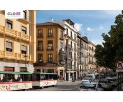 Pisos en Alquiler  Granada Granada