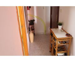 PISO DE CORTA TEMPORADA .650 € / MES