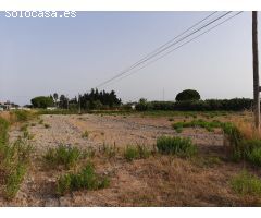 Parcela en Ctra Sanlucar