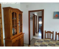 ALQUILER DE SEPTIEMBRE A JUNIO EN EL ZAPILLO