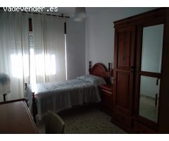 ALQUILER DE SEPTIEMBRE A JUNIO EN EL ZAPILLO
