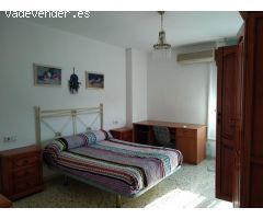 ALQUILER DE SEPTIEMBRE A JUNIO EN EL ZAPILLO