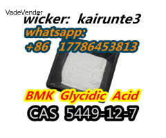 5449-12-7 BMK Glycidic Acid (sodium salt) powder china Kairunte3 USA UK Canada