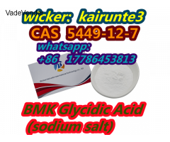 New BMK Glycidate BMK Glycidic Acid cas 5449-12-7 USA UK Canada