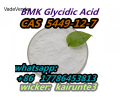 5449-12-7 BMK Glycidic Acid (sodium salt) powder china Kairunte3 USA UK