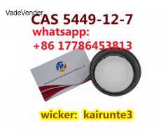 5449-12-7 BMK Glycidic Acid (sodium salt) powder china shipping Kairunte3 USA UK Canada