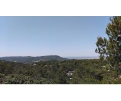MUY BUENAS VISTAS