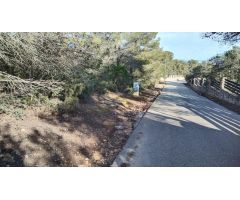 Parcela de 3.600m², con vistas y llana
