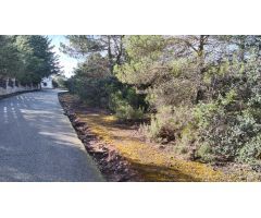 Parcela de 3.600m², con vistas y llana