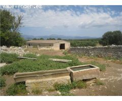 Posesión mallorquina en Sineu