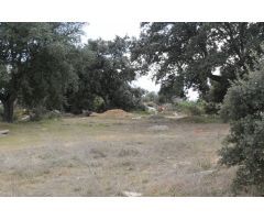 Urbis te ofrece una parcela en venta en Urbanización Oasis Golf, Carrascal de Barregas, Salamanca.
