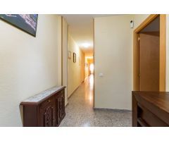 ¿te gustaria tener tu propia vivienda?