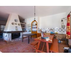 ¿eres de los que siempre han soñado con tener una finca de naranjos?