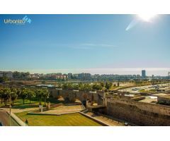 ÁTICO DÚPLEX INVERTIDO EN PARQUE DEL RIO GUADIANA
