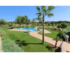 Apartamento en Alquiler en Pilar de la Horadada, Alicante