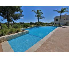Apartamento en Alquiler en Pilar de la Horadada, Alicante