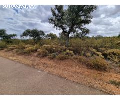 PARCELA RÚSTICA DE 2.000 m2 EN VENTA EN CAMPOMANES