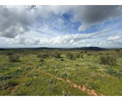 Finca rustica en Venta en Olivenza, Badajoz