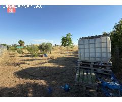 Parcela totalmente vallada en las Casas Aisladas de Gévora