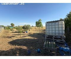 Parcela totalmente vallada en las Casas Aisladas de Gévora