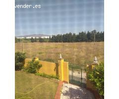 APARTAMENTO DOS DORMITORIOS EN MIJAS SOTA