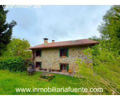 Chalet en Artzentales con 7.000 m2 de terreno