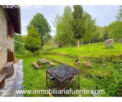 Chalet en Artzentales con 7.000 m2 de terreno