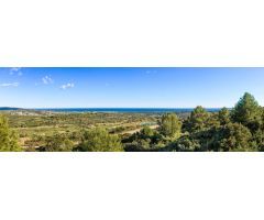 Ultimas parcelas a la venta en Sotogrande, desde 840.000 euros . CADIZ