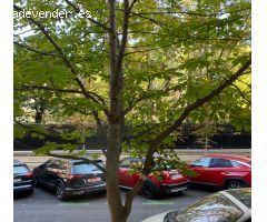 Apartamento en Venta en Madrid de las Caderechas, Madrid