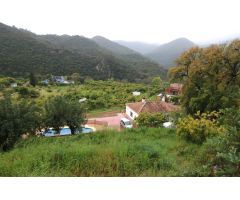 Finca con Vivienda, Piscina y Producción de Aguacates con licencia de (AFO)