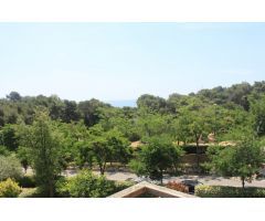 Pisos en Alquiler  Lloret de Mar Girona