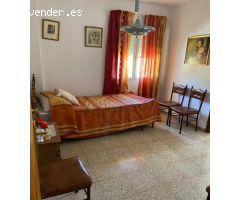Piso con Huerta y terreno