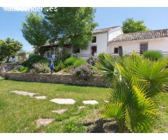 Finca REBAJADA!!!