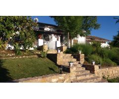 Finca REBAJADA!!!