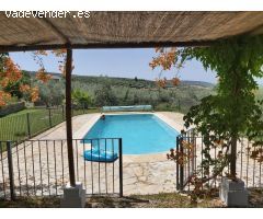 Finca REBAJADA!!!