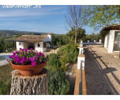 Finca REBAJADA!!!