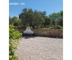 Finca REBAJADA!!!