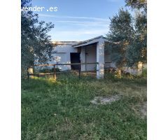 Finca REBAJADA!!!