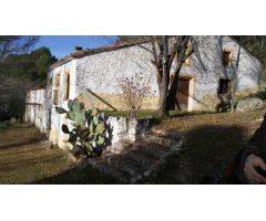 OPORTINIDAD EN SILES