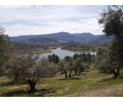 OPORTINIDAD EN SILES