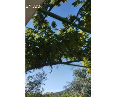 Chalet en Venta en Estación de Huesa, Jaén