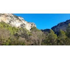 Finca en la Sierra